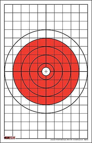 200 EZ2C Targets Most Popular 5 Styles Paper Targets Bundle 11"x17" USA MADE